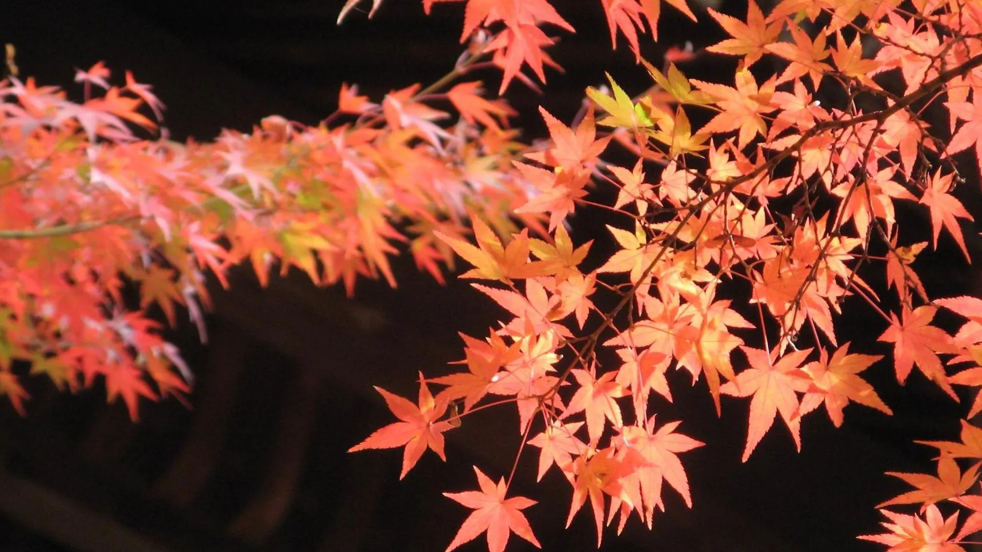 Heian No Mori Kyoto Ξενοδοχείο