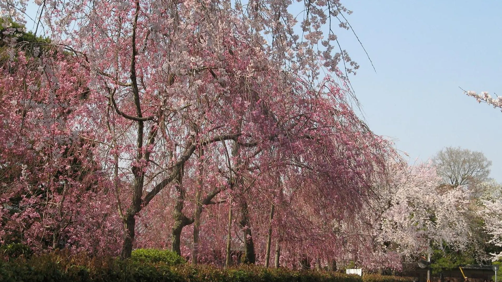 فندق Heian No Mori كيوتو